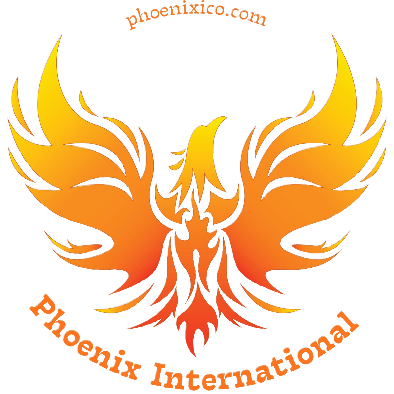 phoenixico.com